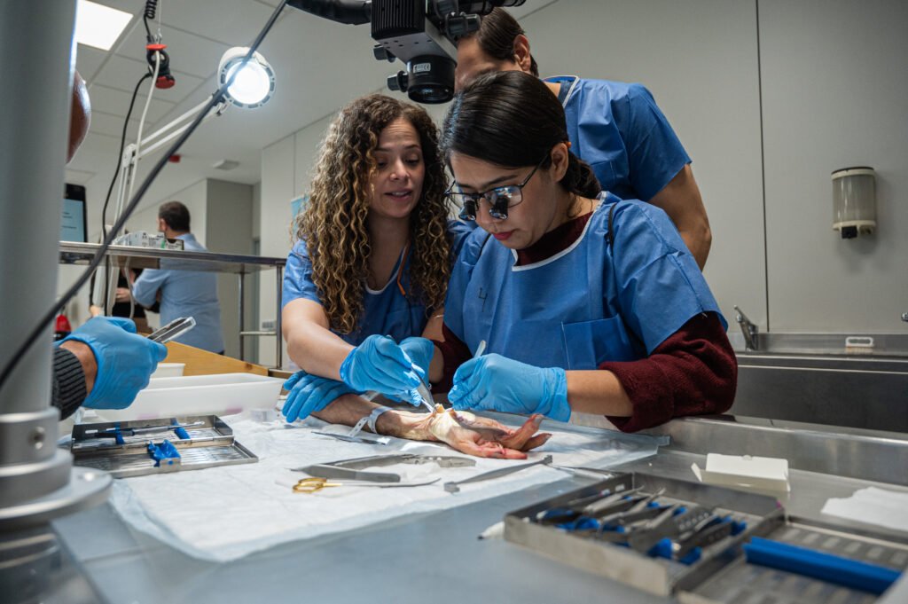 RESERVA 6ª Edición del Curso integral de cirugía de extremidad superior para cirujanos