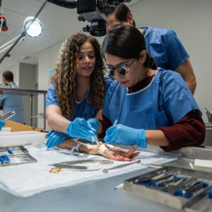 RESERVA 5ª Edición del Curso integral de cirugía de extremidad superior para cirujanos